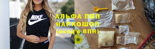 ПСИЛОЦИБИНОВЫЕ ГРИБЫ Верхний Тагил