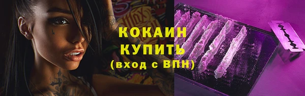 СК Бородино