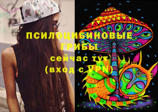 прущие грибы Верхнеуральск