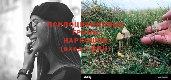 ПСИЛОЦИБИНОВЫЕ ГРИБЫ Бугульма