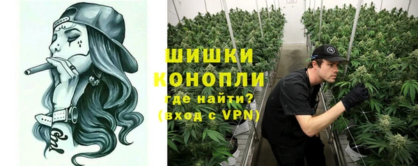 прущие грибы Верхнеуральск