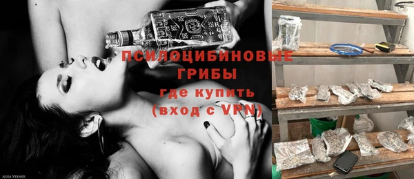 СК Бородино