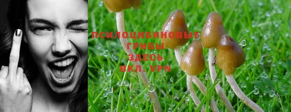 ешки Верея