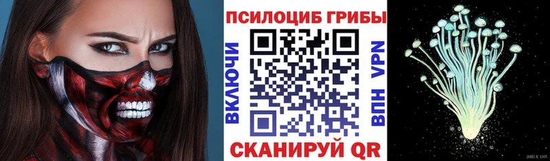 Псилоцибиновые грибы GOLDEN TEACHER мориарти какой сайт Нижнекамск мега как войти